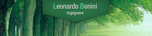 www.leonardobonini.com