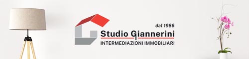 www.studiogiannerini.it